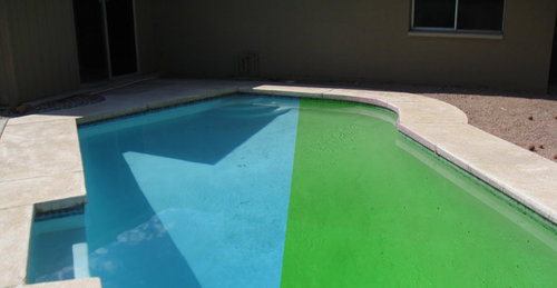 Green to Clean – Tips to Keep Your Water Clear